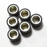 6 Stück pro Satz Variomatik Rollen Gewichte 13g 19x17mm (RW157) für Gilera (#157)