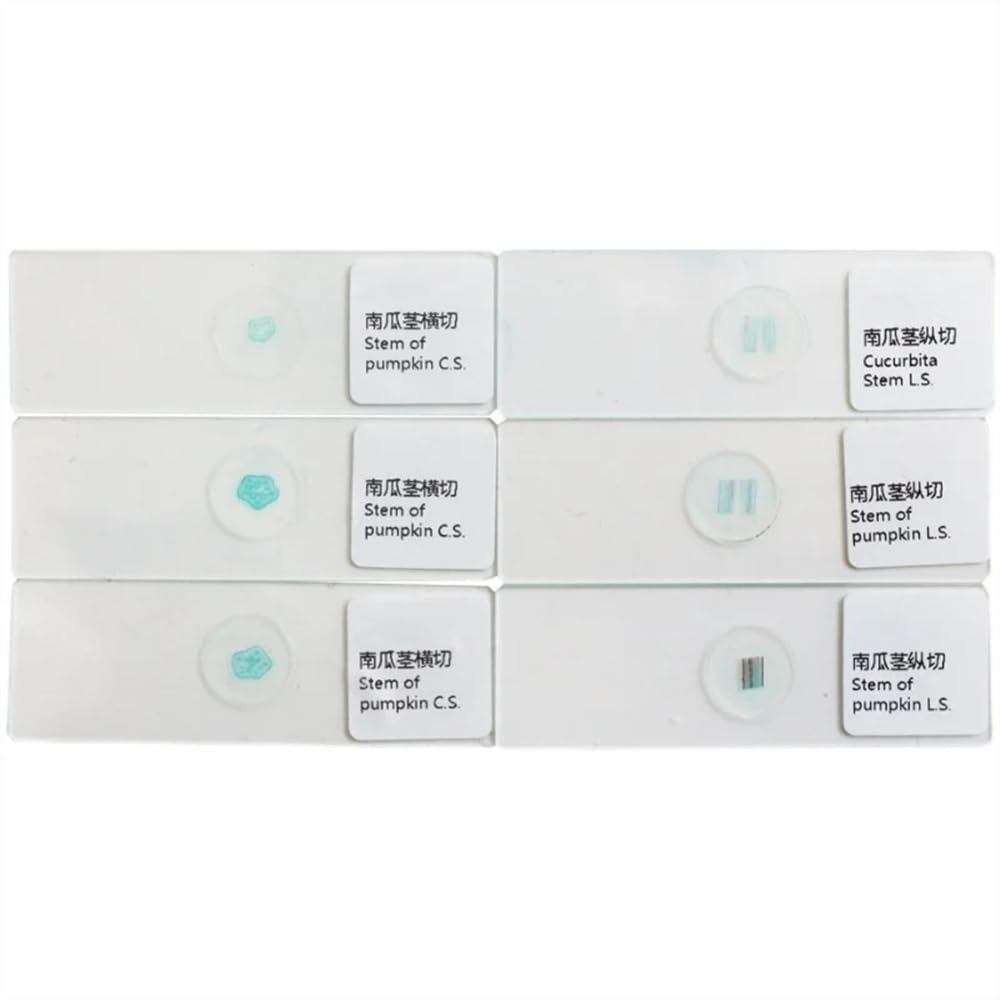 Kit di accessori per microscopio Vetrini for campioni di microscopio da 10 pezzi / 20 pezzi for l'educazione alla biologia scientifica del laboratorio di base degli studenti Vetrini per microscopio(10