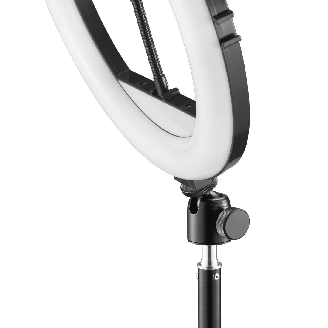 LED-Ringleuchte Spotlight Steady 120 III, Ringlicht-Stativ für Handy, 12"