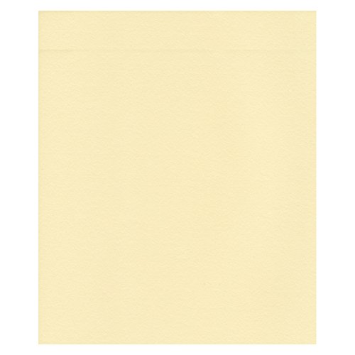 エスケント ケント紙 スターカラー 四切 バニラ 100枚 5769004
