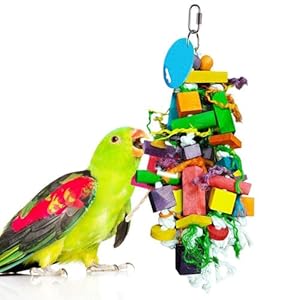 SunGrow Vogel-Kauspielzeug für Papageien