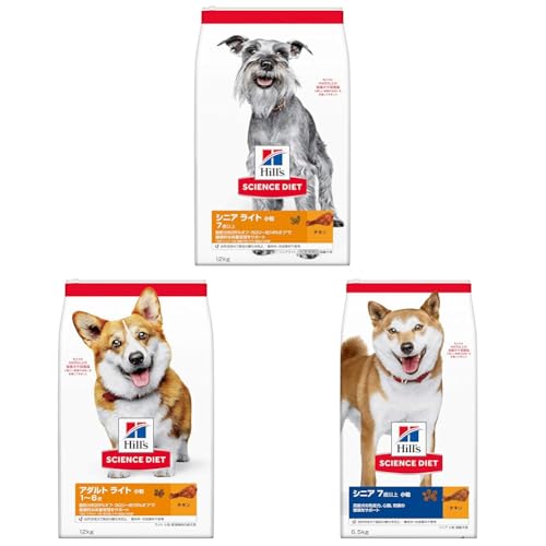 yZbgzqY TCGX_CGbg hbOt[h VjA Cg  7Έȏ `L 12s p hC 얞 + qY TCGX_CGbg hbOt[h A_g Cg 1~6  `L 12s p hC 얞 + q