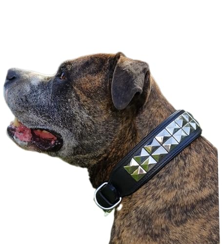 Hundehalsband Titan Lederhalsband Leder Schwarz Nieten Hohe Zugkraft Extra Breit Halsband Hund (L)