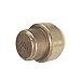 [10-Pack] PROCURU 1/2-Inch PushFit End Cap, Push-to-Connect Brass Plumbing Fitting for Copper, PEX, CPVC, PE-RT Pipe, LF Certified Safe (8X3012-10P)