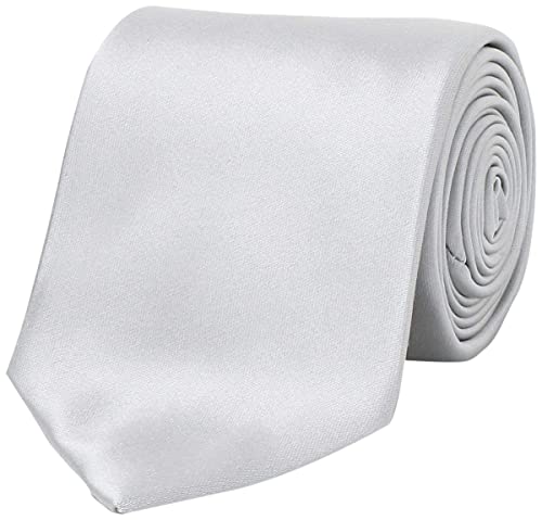 ユナイテッドアローズ シルバー レジメンタル タイ