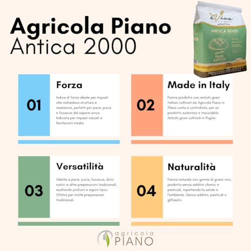 Agricola Piano – Antica 2000 | All-Purpose Flour/Plain Flour with Wheat Germ Kg 5 - Italian Type 0 from Ancient Soft Grains, 100% Natural Italian Flour with Live Wheat Germ, No Additives