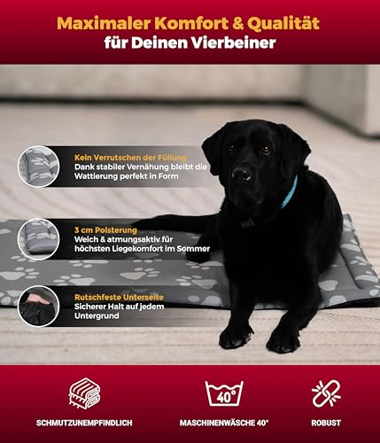 HS-Hundebett® Sommerdecke Baumwolle mit Füllung und Antirutsch L (75x115 cm) – Gepolsterte Hundedecke für den Sommer – Waschbar & Langlebig – Leichte Hunde Sommerdecke – Pfote Anthrazit, Made in DE