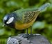 Produktbild dekoportal24 Vogel Bewegungsmelder mit Vogelgesang 4