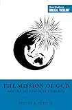 The Mission of God and the Witness of the Church (English Edition)