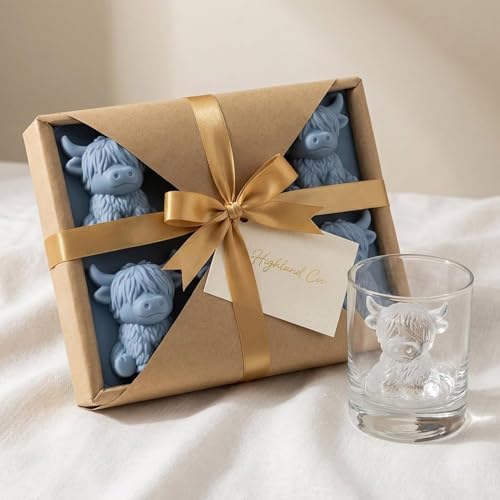 Moule à glaçons silicone réutilisable 6 cavités pour whisky et cocktail