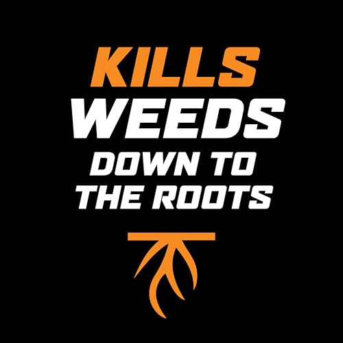 image for Ortho WeedClear Lawn Weed Killer Ready-To-Use with Trigger Sprayer, Ki