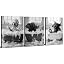 Funny Animals