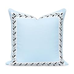 Baby Blue Frame Leafs 20"x20"