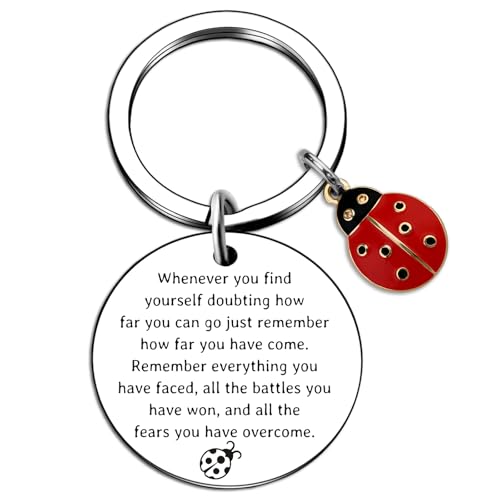Ladybug Keychain Gifts For Women Inspirational Ladybug Charm For Friends