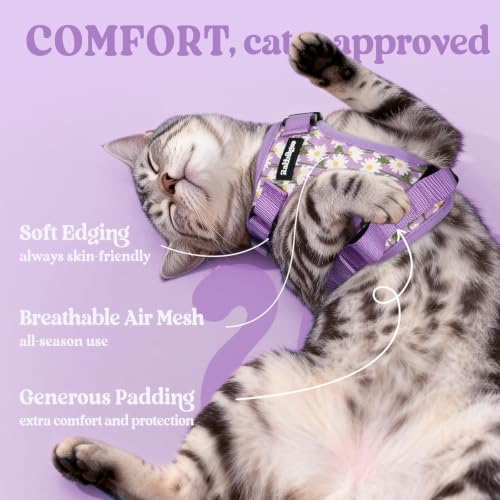 Image of rabbitgoo Cat Harness and Leash Set, Escape Proof Vest, Purr-ple Daisy | Soft Breathable Mesh, Easy Adjustable Fit, Snap Buckles, Sturdy Clip, Reflective Strips, for Average Cats Walks, S