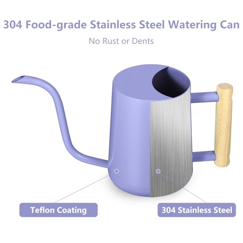 Image of Watering Can Indoor Plants, 35oz Small Stainless Steel Metal Watering Can Modern Decorative Watering Pot with Long Spout for Indoor House Plant Bonsai Garden Flowers (Purple)