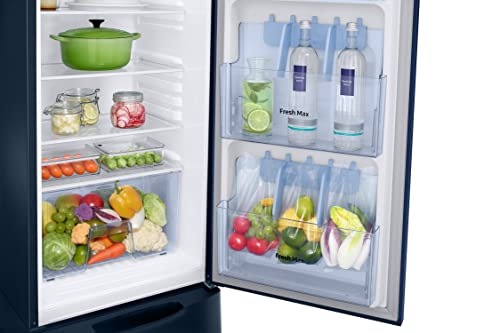 Image of Samsung 246L 3 Star Inverter Direct-Cool Single Door Refrigerator Appliance (RR26C3893CU /HL,Camellia Blue) Base Stand Drawer