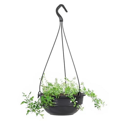 Plastard Blumenampel 32 cm Durchmesser Pflanzschale Farbe Anthrazit Kunststoff Blumenschale für Innen und Außen Deko Schale zum hängen witterungs- und frostbeständig