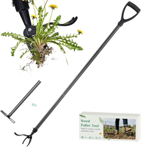 Onadak Weed Puller Tool, 2-in-1 Stand Up Weeder with 4-Claw Head & Rake, No Tools Required Assembly, Gets Rid of Weeds & Roots Permanently for a Pristine Lawn