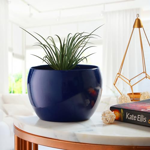 Image of Sunshine Elegant Matte Finished Dustfree Tabletop Blue Flower Pot Planter | Metal Plant Pot for Indoor Succulent Plants, Living Room, Home Decor, Office, Restaurant