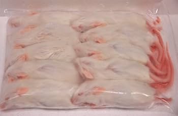 送料無料 冷凍マウスホッパー100匹 楽天市場】冷凍☆ホッパー カタ養殖 Mice18 冷凍マウス