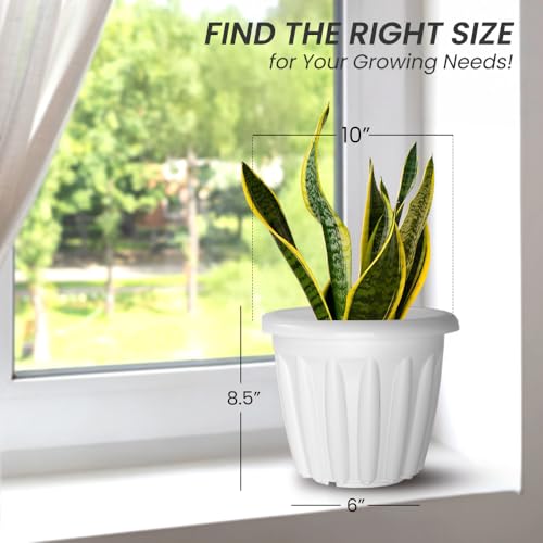 Image of YUCCABE ITALIA SHERA Floot 10 Inch Plastic Flower Pot 6 Piece Set of Round Shape Planter for Home Garden Seedling Planter for pots (White)