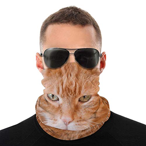 CRXOOX Divertido gato encantador mostrando su lengua bufanda facial, pañuelos, bufandas de tubo de cobertura completa multifuncionales, polaina de cuello