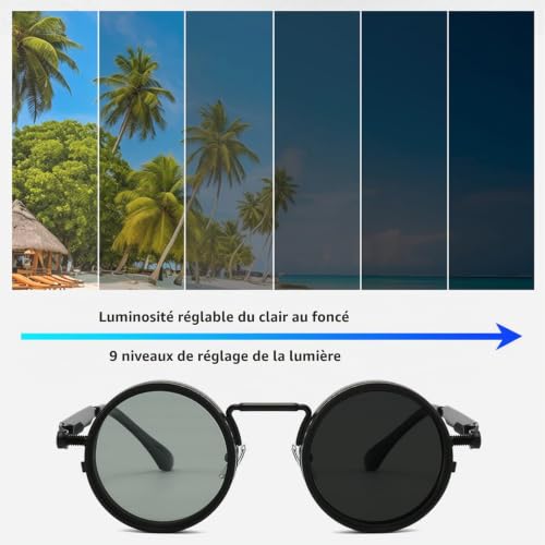 Lunettes de Soleil Polarisées,Lunettes de Soleil Homme Polarisées,Classique Lunettes,Filtre ND Réglable de 1 à 9,Protection UV,Anti-éblouissement,Rondes Lunettes Polarisées,pour Homme et Femme – vue 5