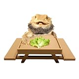 Picnic Table Dish for Bearded dragons | Greens dish for small reptile | Beardie decor
