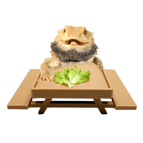Picnic Table Dish for Bearded dragons | Greens dish for small reptile | Beardie decor