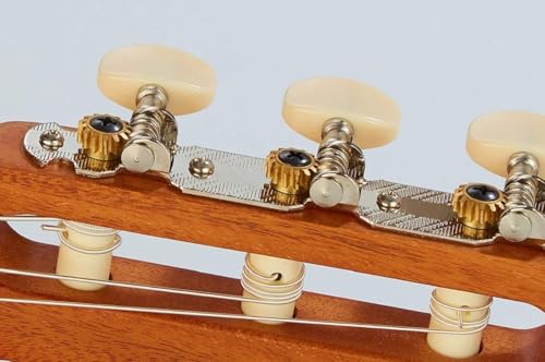Image of NEX C40M UK22F Classical Guitar, 6 String, Natural Wood Finish, Full Size Classical Guitar - 6 Nylon Strings Right Handed (Natural)