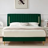 Furnify Queen Platform Bed Frame, Velvet Upholstered Bedframe with Vertical Channel Adjustable Headboard, Golden Plating Trim, Mattress Foundation with Wooden Slats, No Box Spring Needed, Green