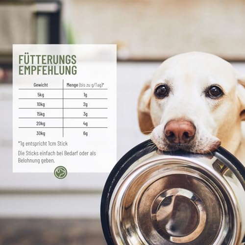 ReaVET Hunde Leckerlis mit Hanf 500g, Wohlfühl Sticks - Natürliche Beruhigung & Entspannung bei Angst oder Stress - Hundeleckerlis, Hundekekse aus Hanfpresskuchen getreidefrei & naturbelassen