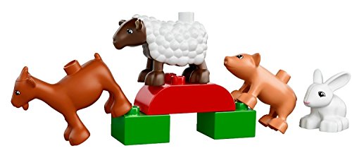 LEGO 10522 - Duplo Bauernhof-Tiere – Bild 6