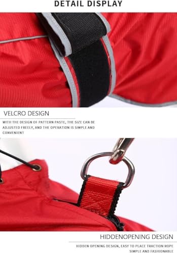 Impermeable para perros reflectante para solucionar paseos con lluvia y viento 7