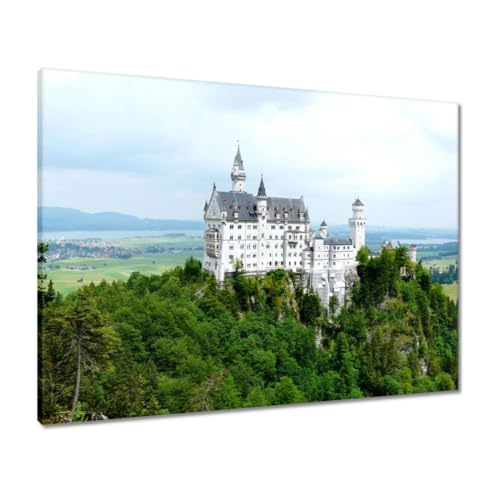 Peinture imprimée sur toile 80 x 60 cm habiller un mur vide tableau Château Neuschwanstein H1427M
