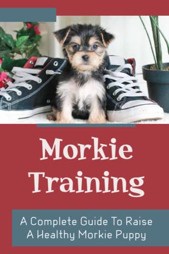 Morkie Training: A Complete Guide To Raise A Healthy Morkie Puppy