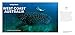 Lonely Planet Experience West Coast Australia (Travel Guide)