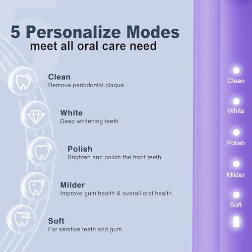 Image of 7AM2M Sonic Electric Toothbrush for Adults and Kids, with 8 Brush Heads and Travel Case,5 Modes with 2 Minutes Built in Smart Timer, One Charge Use for 90 Days, Rechargeable Toothbrushes (Purple)