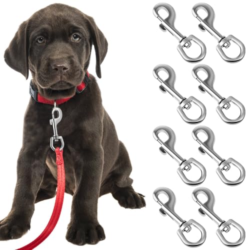 Mousquetons pivotants en acier inoxydable lot de 8 clips pour laisse