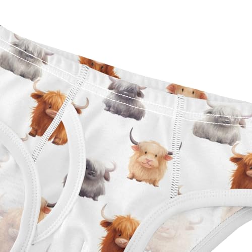Boys' Exclusive Briefs Toddler Underwear 95% Combed Cotton Boxerbriefs 2T Highland Cow Pattern 44