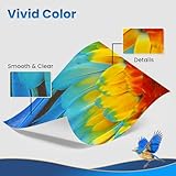 CLT-P404C CLT-404S Toner for Samsung C480W Compatible with Toner Samsung Xpress SL C480FW C430W C430 C480 CF480FN C48X C43X Series Printer (1 x Yellow) - Image 4