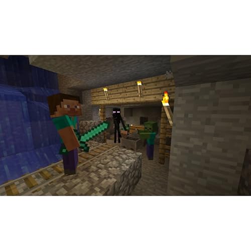 Minecraft PlayStation 4 - vue 4