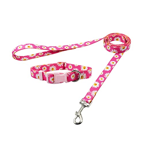 Olahibi ORTCI Dog Collar And Leash Set thumb #8