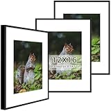 Golden State Art - 12x16 Metal Picture Frames with Mat - Display 8.5x11 Photo or 12x16 Poster - 12 x 16 Inch Aluminum Frames with Real Glass - Gallery Wall Frame Set of 3 - Black