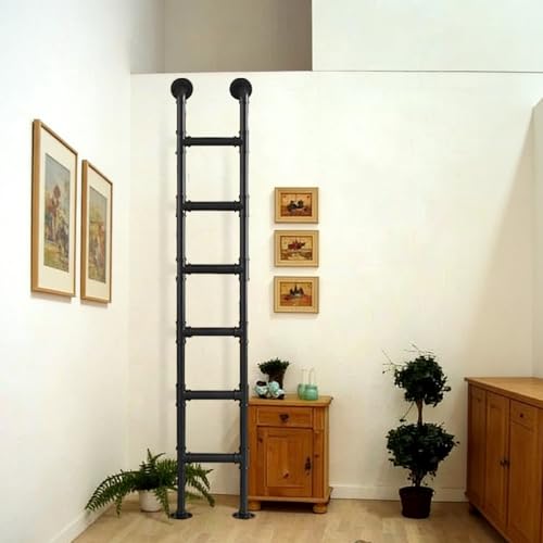 Escalera Recta para Interior y Exterior, Escalera Universal para Subir a la Pared de 100 a 300 cm de Altura para literas, ático, Escalera de Incendios, Salida del sótano(250cm/98in)