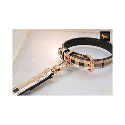 Leather Paws Small Plaid Berry Designer Leather Collar