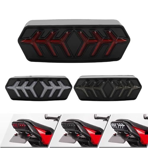 Luz trasera LED con intermitentes para moto GROM MSX125 y CBR650F 2