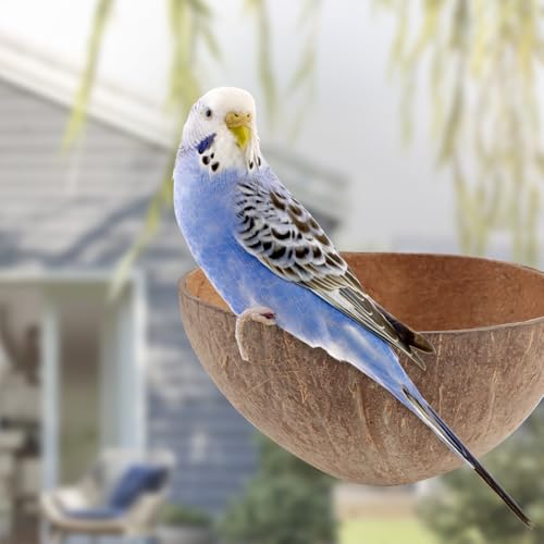 Image of VTurboWay 2 Pack Bird Nest Natural Coconut Shell Parrot Nest Finch House Canary Bed Hatching Nest Breeding Nesting for Cage Sleeping Bird Bed