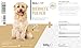 ReaVET Bierhefe Pulver für Hunde & Katzen – Reines Naturprodukt für glänzendes Fell & Vitale Haut – Reich an Biotin, B-Vitaminen, Natürliche Unterstützung bei Fellwechsel & stumpfem Fell I 500g